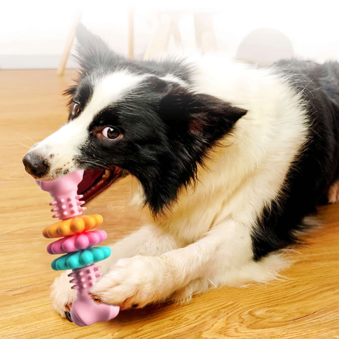 Dog Chew Stick Toy TPR Dog Bone Toy petvibez