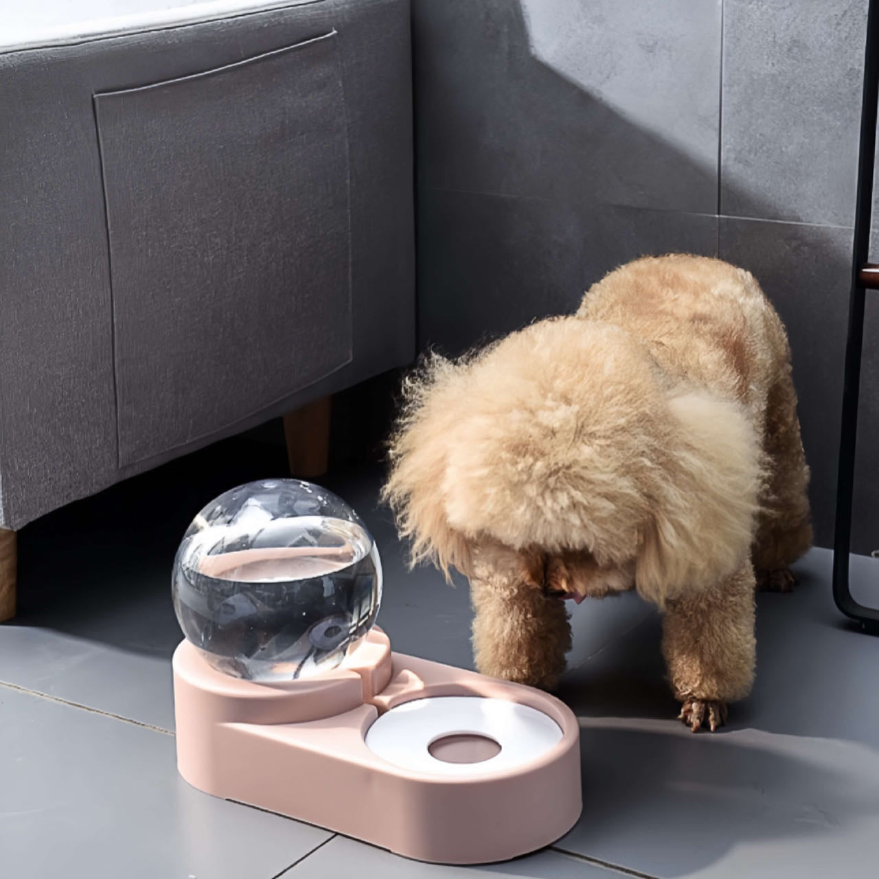 A Poodle Dog Drinks Water From An Pink Colour Auto Refill Dual Pet Water Feeder With Steel Food Bowl