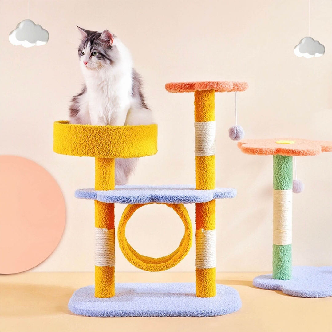 A cat is siting on a jumping platform of a colourful cat climbing frame with scratching posts