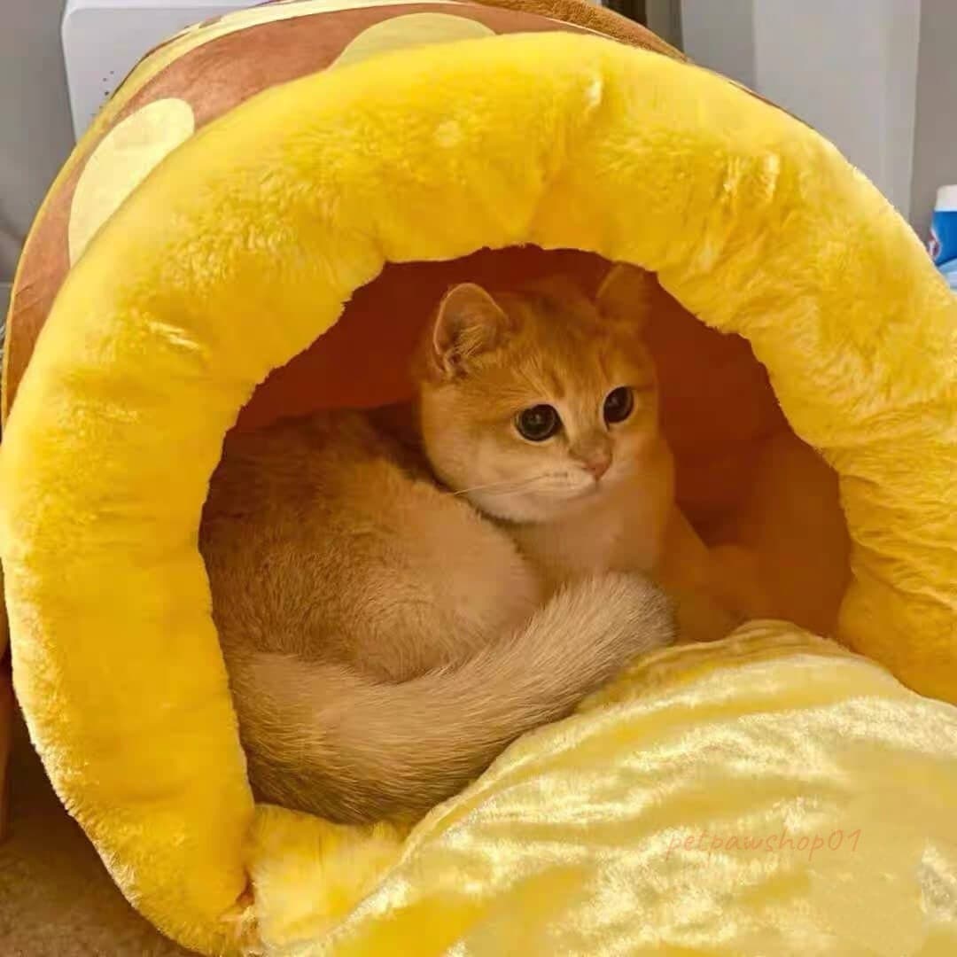 Cat sleeping inside a cozy honey jar-shaped cat bed with soft plush interior.